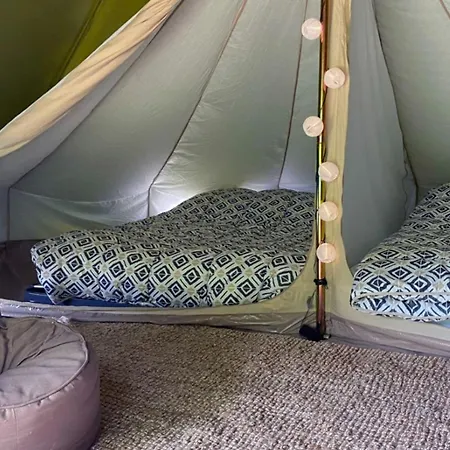 Camping Confortable 2 Avec Terrasse à - Api-1-52-1954