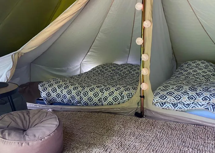 Camping Confortable 2 Avec Terrasse à - Api-1-52-1954